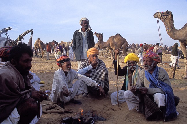 Pushkar Camel Fair, Men, Gossip, Trade, Market