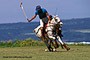 Mokuleia Polo Sport Horse Recreation