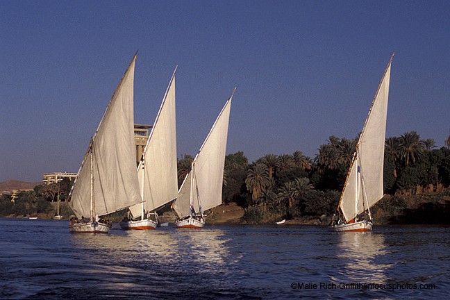 Feluccas Nile Aswan Sailing