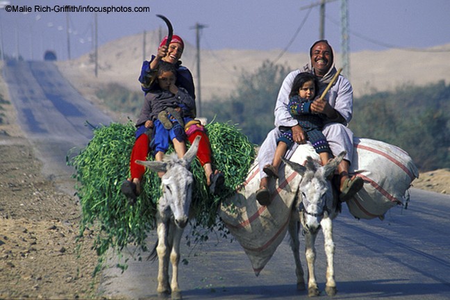 Farmers Alfalfa Greeting Riding Donkeys Lifestyle