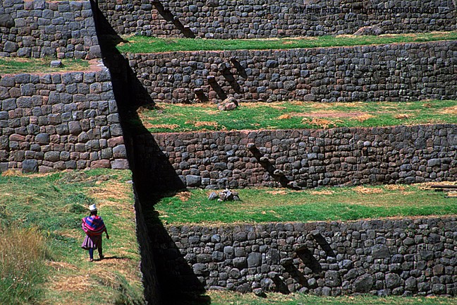Quecha Woman Walks Ancient Inca Ruins Tipon