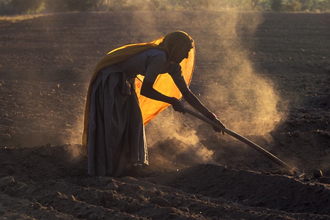 Woman, Hoeing, Poor Soil, Arid, Dry, Farming, Dust