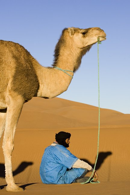 Morocco - Tuareg Tribesman Rests his Camels - Sahara Sand Dunes Desert Moslem Man