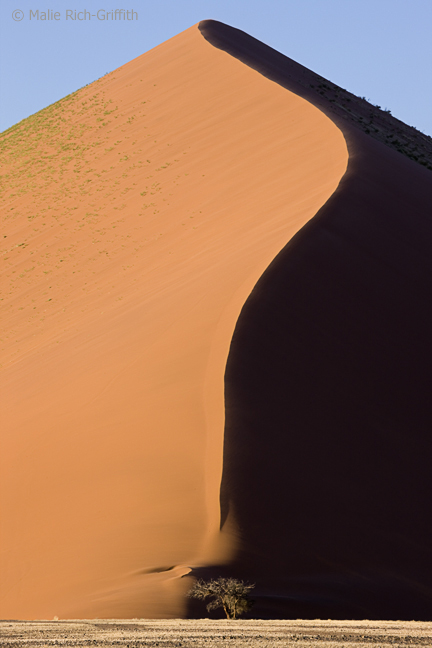 Infocusphotos : Namibia - One of the Red Dunes at Sossusvlei, Namibia
