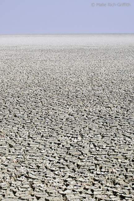 Infocusphotos : Etosha Salt Pan, Largest in the World, Etosha National Park, Namibia