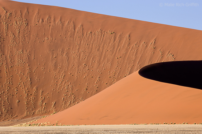 Infocusphotos : Lacy Fingers of Golden Grass Climbing a Red Dune at Sossusvlei, Namibia