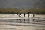 Infocusphotos : Boys Playing in the Kavango River, Ndohvu, Namibia