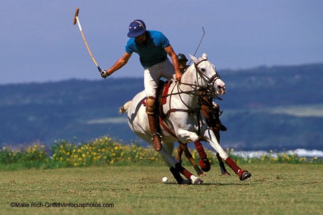 Mokuleia Polo Sport Horse Recreation
