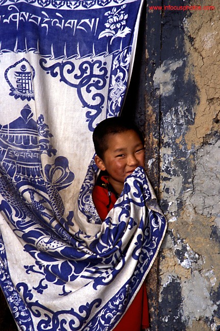 Young Monk of Gangtey Monastery