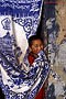 Young Monk of Gangtey Monastery
