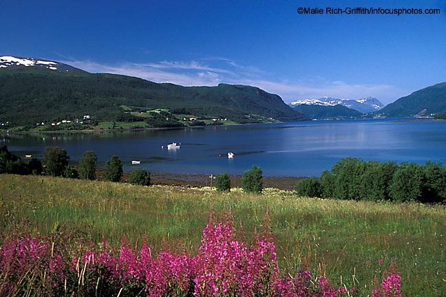 Fireweed Lake View Trondheim