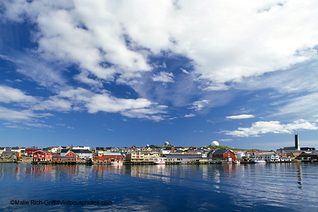Harbor Vardo