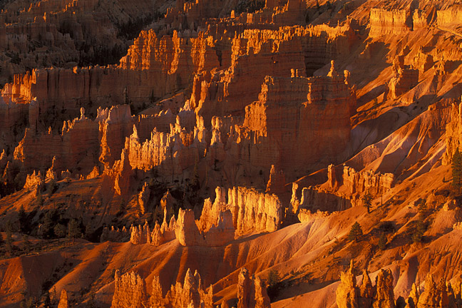 Hoodoos Sunset Bryce Canyon National Park Utah