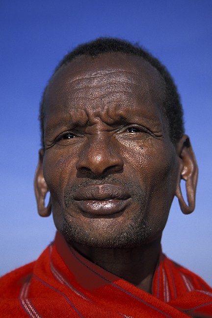 Ear Loops on Middle-aged Morani