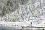 Cross-country Skiiing Outdoor Recreation Sport Landscape