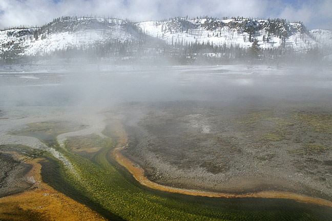 Grand Prismatic Spring Coloful Algae Mountains