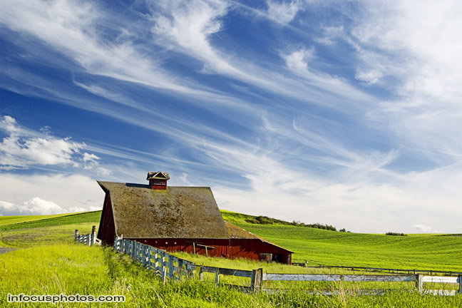 Infocusphotos : Palouse - stock photo
