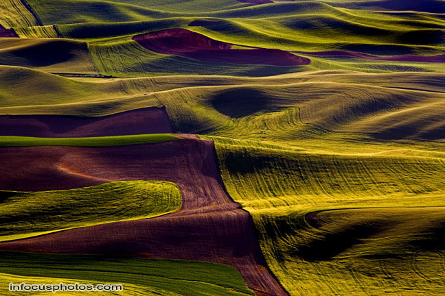Infocusphotos : Palouse - stock photo