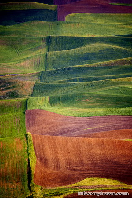 Infocusphotos : Palouse - stock photo