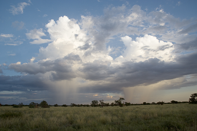 Portraits of Ethiopia, North and South - Infocusphotos.com
