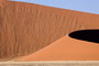 Infocusphotos : Lacy Fingers of Golden Grass Climbing a Red Dune at Sossusvlei, Namibia
