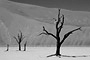 Infocusphotos - Namibia