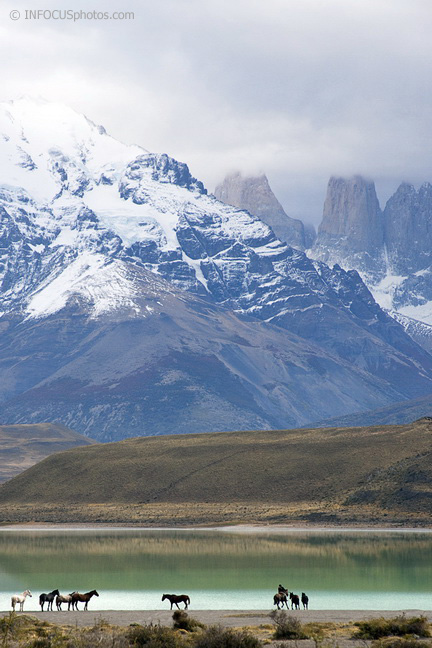 Infocusphotos : Gaucho and His Horses at Largo Camarga in Torres Del Paine National Park