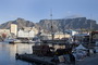 Infocusphotos : South African Gallery Photos