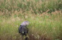 Infocusphotos : South African Gallery Photos