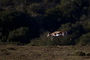 Infocusphotos : South African Wildlife Photos
